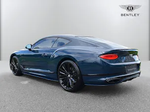 Bentley Continental GT 6.0 W12 Speed Einzelstück "Centenary Edition"