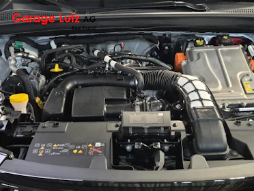 MITSUBISHI GRANDIS 14