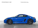 Porsche 718 Cayman Style Edition