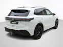 VW Tiguan 2.0 TSI DSG R-Line Black Style 4Motion (2025)