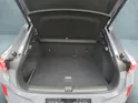 Cupra Terramar 2.0 TSI VZ 4Drive DSG