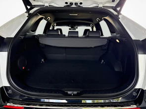 Fahrzeugbild TOYOTA RAV4 2.5 Plug-In-Hybrid Platinum AWD