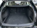 Škoda Octavia Combi 1.5 TSI mHEV 110 kW Selection *** ANHÄNGERKUPPLUNG & PANORAMADACH ***