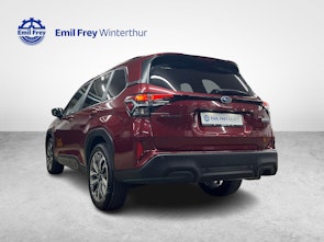 Vehicle image SUBARU Forester Station 2.0i e-Boxer Luxury