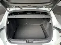 Mitsubishi Grandis 1.8 HEV Instyle