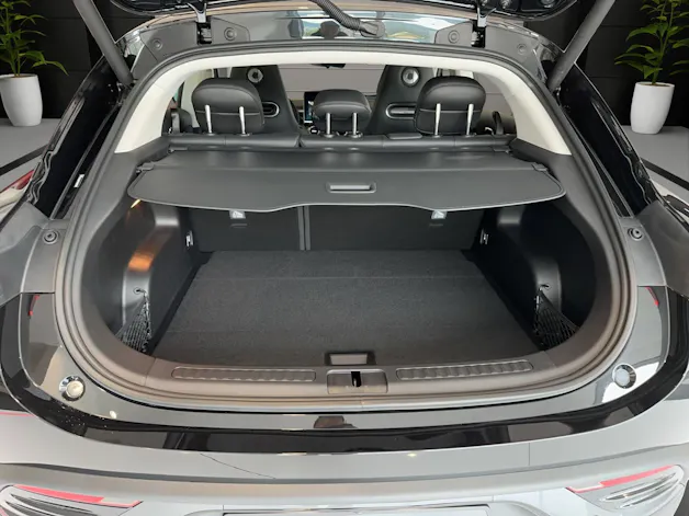 Smart #3 66kWh Pro +