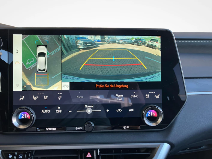 Fahrzeugbild LEXUS RX