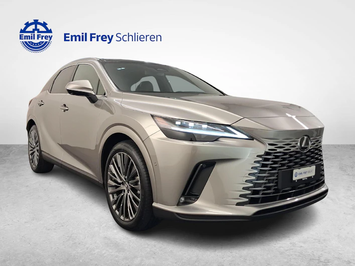 Fahrzeugbild LEXUS RX