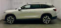 Škoda Kodiaq 2.0 TSI Selection 4x4