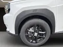 Fiat Grande Panda Icon