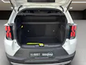 Fiat Grande Panda Icon