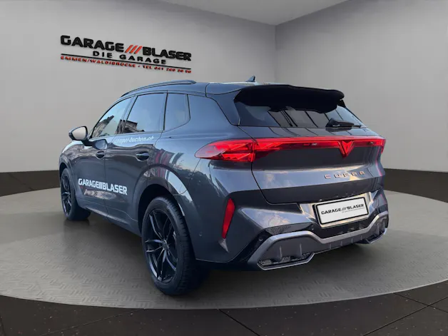 Cupra Terramar 2.0 TSI Business Edition 4Drive DSG