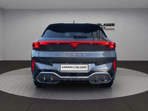 Cupra Terramar 2.0 TSI Business Edition 4Drive DSG
