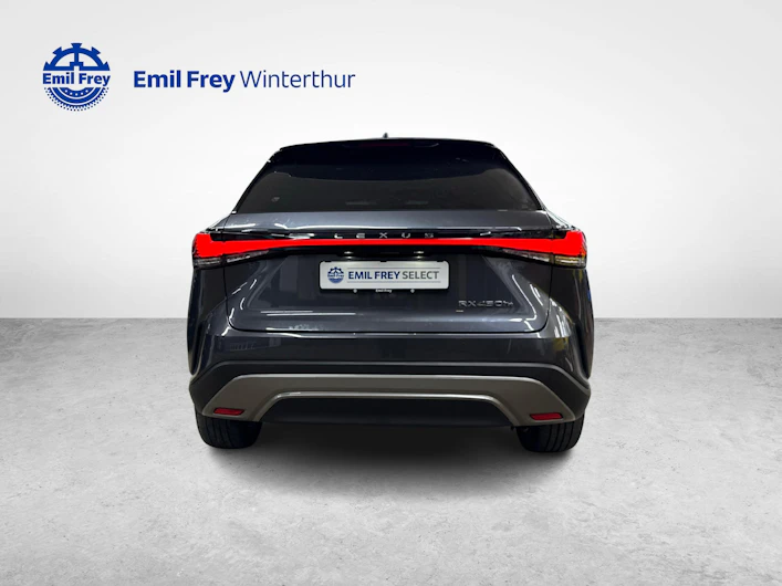 immagine del veicolo LEXUS RX