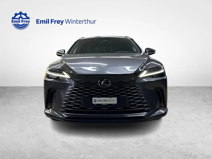 immagine del veicolo LEXUS RX