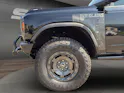 Ford Bronco Everglades