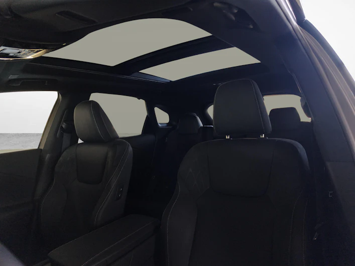 Fahrzeugbild LEXUS RX