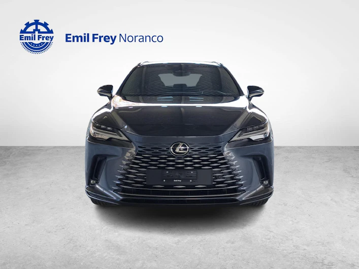 Fahrzeugbild LEXUS RX