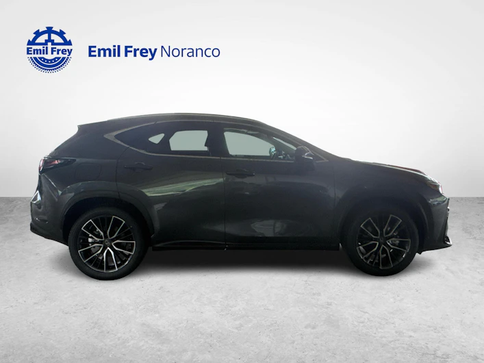 Fahrzeugbild LEXUS NX