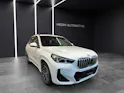 BMW X1 25e xDrive paddles