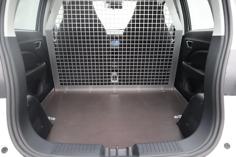 image du véhicule LEAPMOTOR T03
