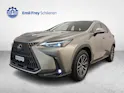 Lexus NX 450h+ Comfort