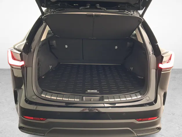 Lexus NX 350h Comfort