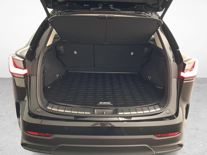 Fahrzeugbild LEXUS NX