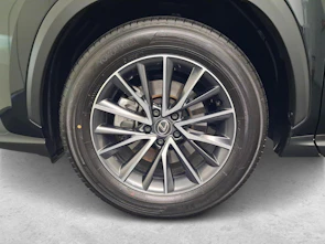 Fahrzeugbild LEXUS NX 350h Comfort