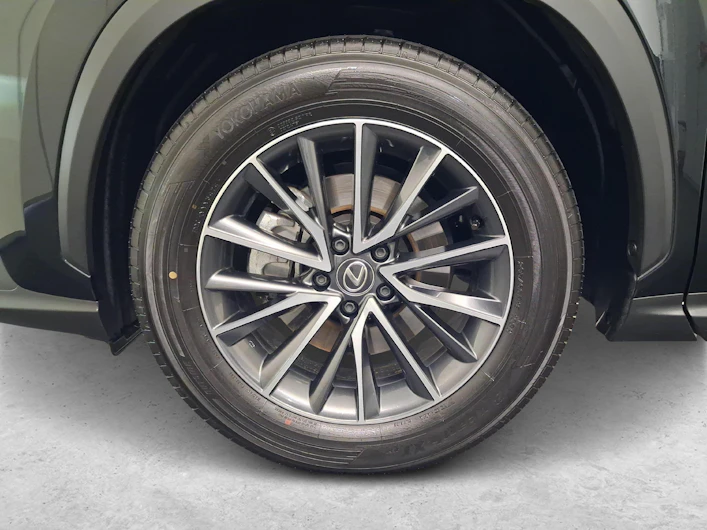 Fahrzeugbild LEXUS NX