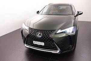 Vehicle image LEXUS UX 250h Excellence