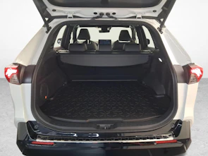 Fahrzeugbild TOYOTA RAV4 2.5 Plug-In-Hybrid Platinum