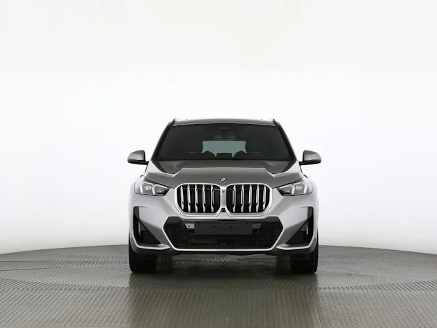 BMW X1 30e xDrive paddles