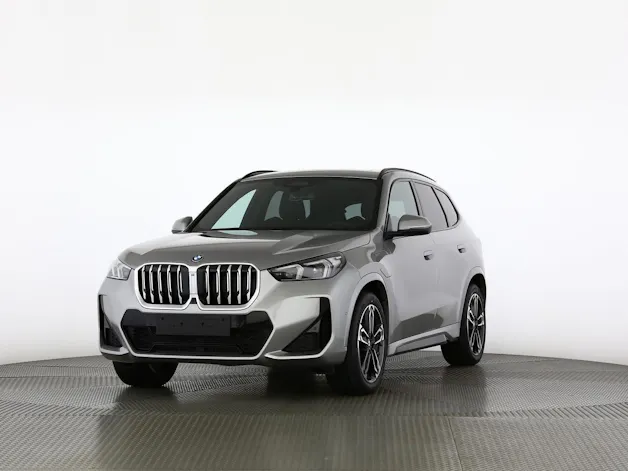 BMW X1 30e xDrive paddles