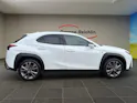 Lexus UX 300h F-Line