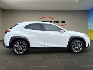 Lexus UX 300h F-Line
