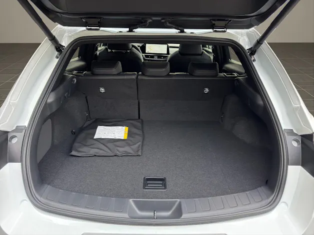 Lexus UX 300h F-Line