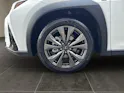 Lexus UX 300h F-Line