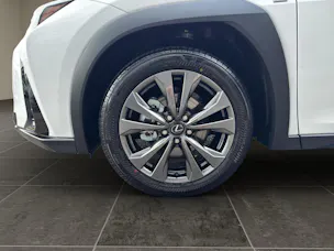 Lexus UX 300h F-Line