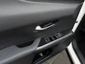 Lexus UX 300h F-Line