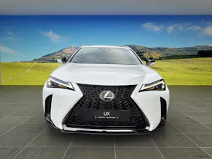 Lexus UX 300h F-Line