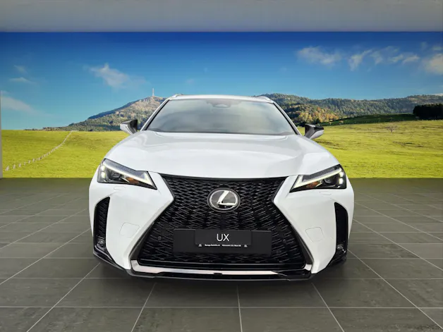Lexus UX 300h F-Line
