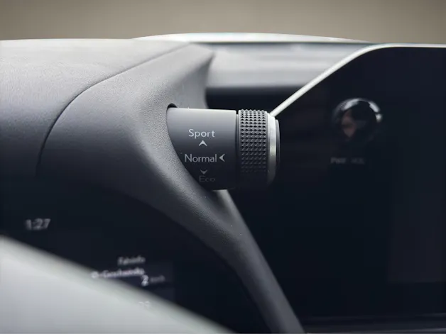 Lexus UX 300h F-Line
