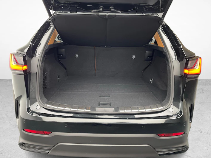 immagine del veicolo LEXUS NX