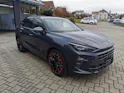 Cupra Terramar 2.0 TSI VZ 4Drive DSG