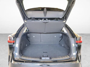 immagine del veicolo LEXUS NX 450h+ Excellence