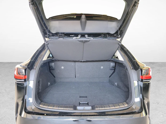 immagine del veicolo LEXUS NX