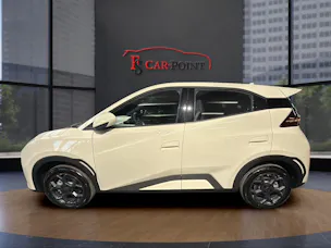 BYD Dolphin Surf 43 kWh Boost