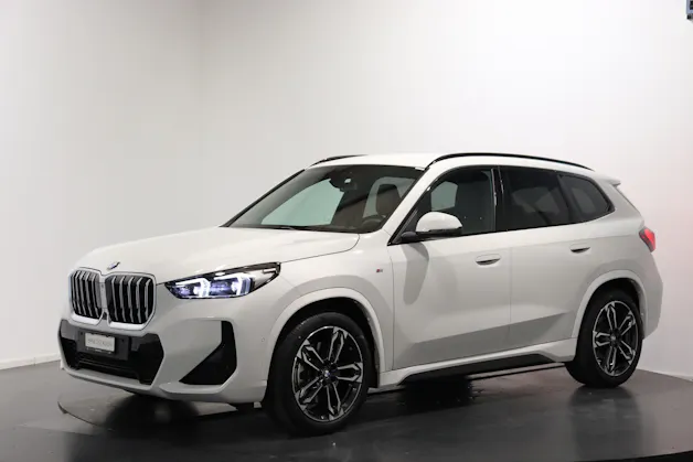 BMW X1 23i xDrive paddles