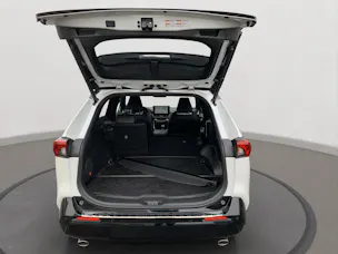Toyota RAV-4 2.5 PHEV Platinum e-CVT 4WD